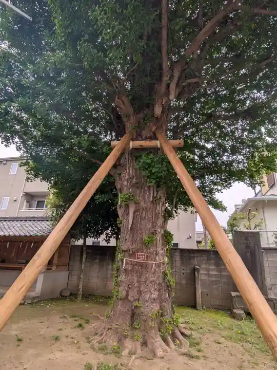 岩淵八雲神社(東京都)