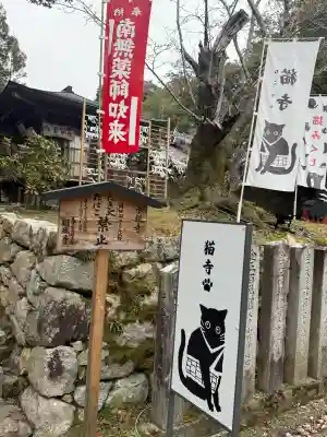 園城寺(三井寺)(滋賀県)