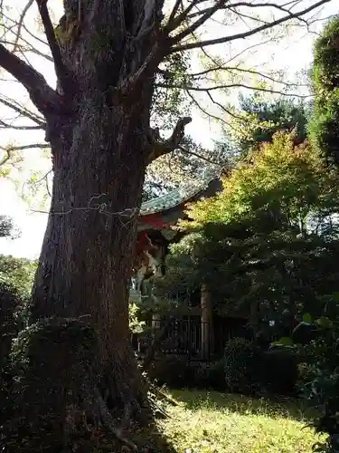 狭山山不動寺の庭園