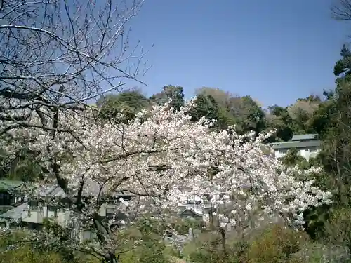 成就院の景色