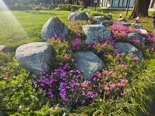 箭弓稲荷神社(埼玉県)