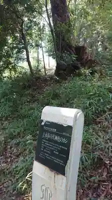 永谷天満宮のその他建物