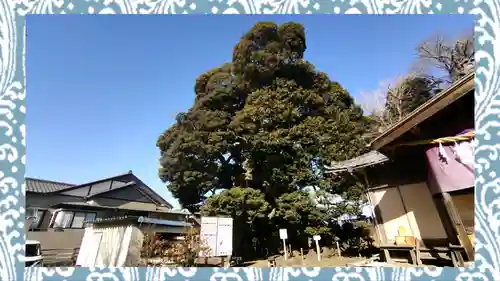 九重神社(埼玉県)