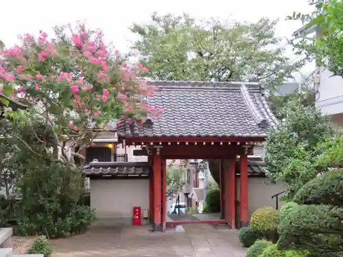 海福寺の山門