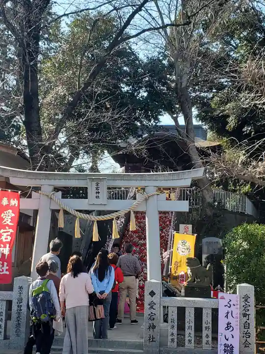 岩槻愛宕神社(埼玉県)