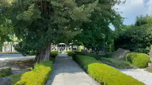 星谷寺(神奈川県)