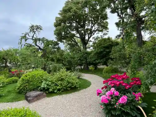 東寺（教王護国寺）(京都府)