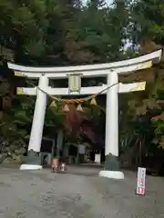 宝登山神社(埼玉県)