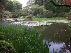 平安神宮の庭園