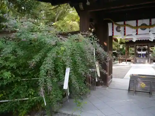 梨木神社のその他建物