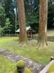 若王子神社の自然