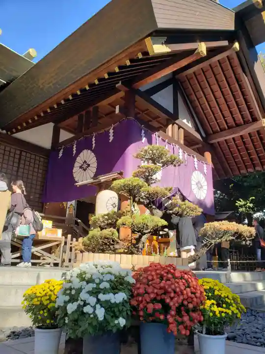 東京大神宮(東京都)