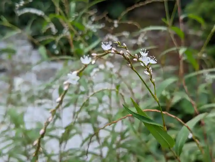 常光院(京都府)