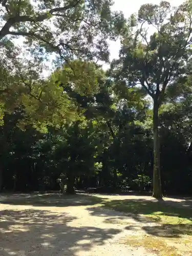 倭白山比咩神社（南出）の自然