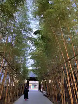 梅窓院の山門・神門