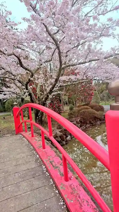 涌谷神社の自然
