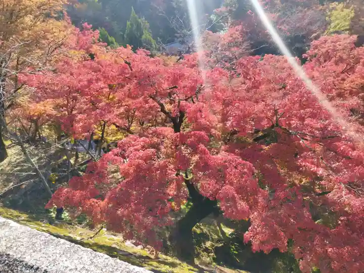 清水寺(京都府)