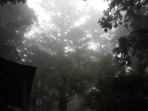 玉置神社の{uncategorized: "未分類", other: "その他", undefined: "問題あり", building: "その他建物", grave: "お墓", sacred_gate: "鳥居", guardian: "狛犬", statue: "像", buddha: "仏像", history: "歴史", nature: "自然", garden: "庭園", animal: "動物", pagoda: "塔", temizu: "手水舎", mountain_gate: "山門・神門", sanctuary: "本殿・本堂", subordinate: "末社・摂社", art: "芸術", scenery: "景色", jizo: "地蔵", ema: "絵馬", goshuin: "御朱印", omikuji: "おみくじ", items: "授与品その他", amulet: "お守り", goshuincho: "御朱印帳", eats: "食事", festival: "お祭り", votive_dance: "神楽", shichigosan: "七五三参", wedding: "結婚式", experience: "体験その他", initially: "初詣", around: "周辺", anti_infection: "感染症対策"}