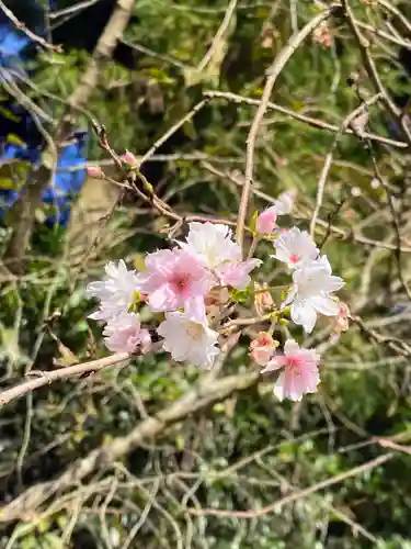 下野 星宮神社(栃木県)