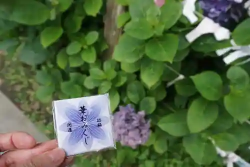 楽法寺（雨引観音）のおみくじ