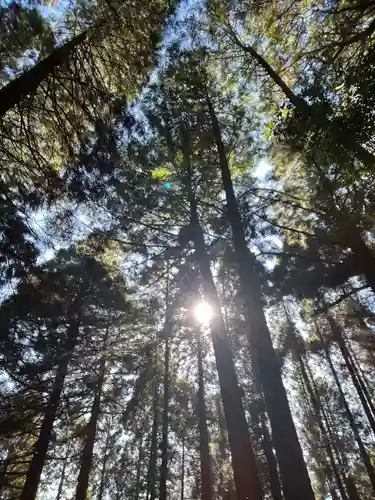 幣立神宮(熊本県)