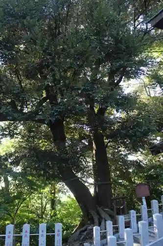 魂生神社(千葉県)
