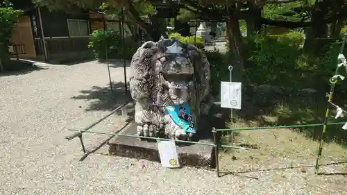 京都乃木神社の狛犬