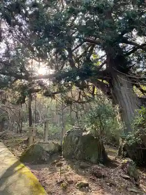 出釈迦寺奥の院　捨身ヶ嶽(香川県)