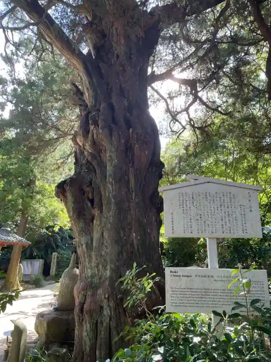 浄瑠璃寺(愛媛県)
