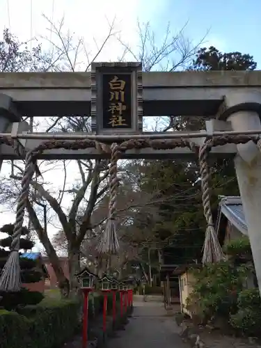 白川神社の鳥居