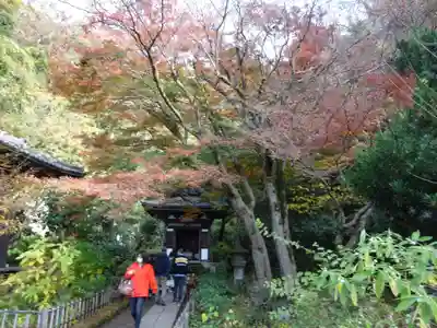 黄梅院(円覚寺塔頭)の自然