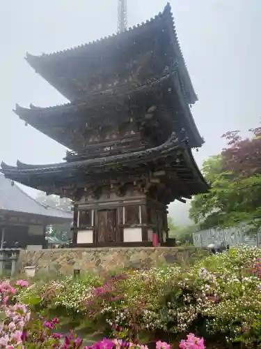 南法華寺（壷阪寺）の{uncategorized: "未分類", other: "その他", undefined: "問題あり", building: "その他建物", grave: "お墓", sacred_gate: "鳥居", guardian: "狛犬", statue: "像", buddha: "仏像", history: "歴史", nature: "自然", garden: "庭園", animal: "動物", pagoda: "塔", temizu: "手水舎", mountain_gate: "山門・神門", sanctuary: "本殿・本堂", subordinate: "末社・摂社", art: "芸術", scenery: "景色", jizo: "地蔵", ema: "絵馬", goshuin: "御朱印", omikuji: "おみくじ", items: "授与品その他", amulet: "お守り", goshuincho: "御朱印帳", eats: "食事", festival: "お祭り", votive_dance: "神楽", shichigosan: "七五三参", wedding: "結婚式", experience: "体験その他", initially: "初詣", around: "周辺", anti_infection: "感染症対策"}