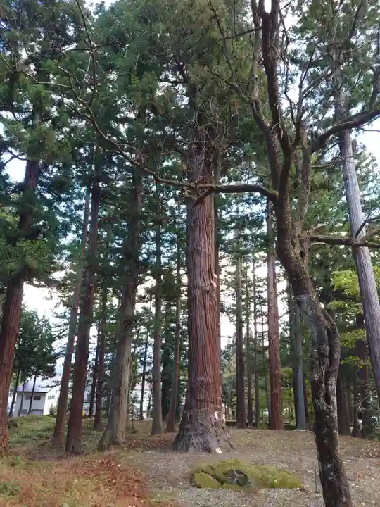 関山神社(新潟県)