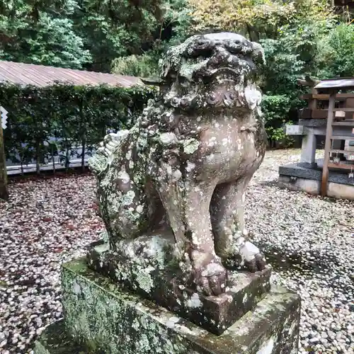 下田八幡神社の狛犬