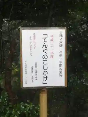 椎尾山薬王院の歴史