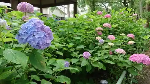 藤森神社の庭園