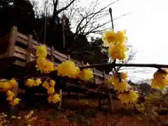 石稲荷神社(茨城県)