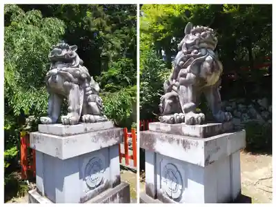 建勲神社の狛犬