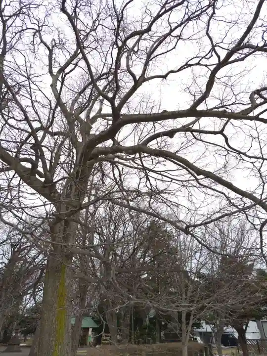 厚別神社(北海道)