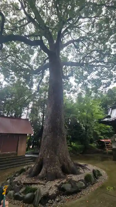 五社神社(神奈川県)