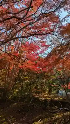神藏寺(京都府)