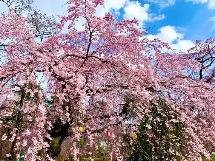 榴岡天満宮の{uncategorized: "未分類", other: "その他", undefined: "問題あり", building: "その他建物", grave: "お墓", sacred_gate: "鳥居", guardian: "狛犬", statue: "像", buddha: "仏像", history: "歴史", nature: "自然", garden: "庭園", animal: "動物", pagoda: "塔", temizu: "手水舎", mountain_gate: "山門・神門", sanctuary: "本殿・本堂", subordinate: "末社・摂社", art: "芸術", scenery: "景色", jizo: "地蔵", ema: "絵馬", goshuin: "御朱印", omikuji: "おみくじ", items: "授与品その他", amulet: "お守り", goshuincho: "御朱印帳", eats: "食事", festival: "お祭り", votive_dance: "神楽", shichigosan: "七五三参", wedding: "結婚式", experience: "体験その他", initially: "初詣", around: "周辺", anti_infection: "感染症対策"}