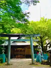 日枝神社(茨城県)