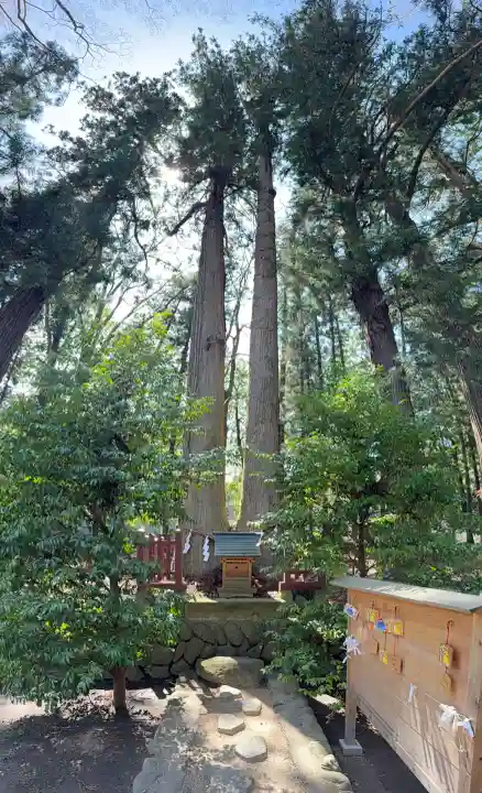 都々古別神社(八槻)の{uncategorized: "未分類", other: "その他", undefined: "問題あり", building: "その他建物", grave: "お墓", sacred_gate: "鳥居", guardian: "狛犬", statue: "像", buddha: "仏像", history: "歴史", nature: "自然", garden: "庭園", animal: "動物", pagoda: "塔", temizu: "手水舎", mountain_gate: "山門・神門", sanctuary: "本殿・本堂", subordinate: "末社・摂社", art: "芸術", scenery: "景色", jizo: "地蔵", ema: "絵馬", goshuin: "御朱印", omikuji: "おみくじ", items: "授与品その他", amulet: "お守り", goshuincho: "御朱印帳", eats: "食事", festival: "お祭り", votive_dance: "神楽", shichigosan: "七五三参", wedding: "結婚式", experience: "体験その他", initially: "初詣", around: "周辺", anti_infection: "感染症対策"}