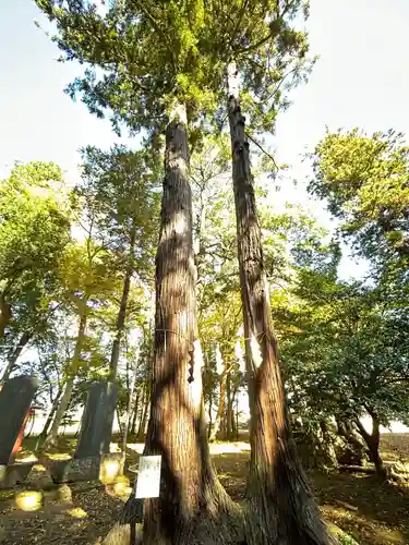 東蕗田天満社の自然