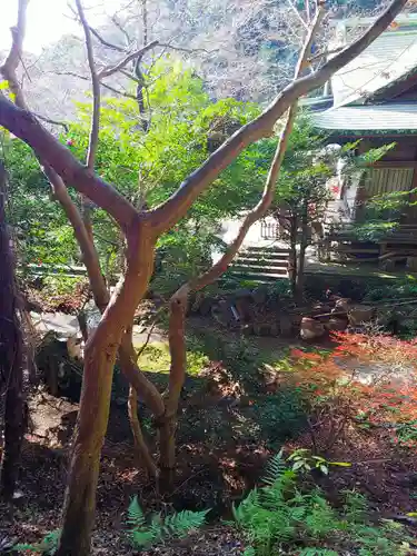 稲荷神社のその他建物