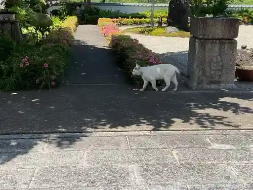 小山寺(岐阜県)