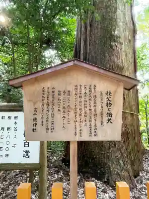 高千穂神社(宮崎県)