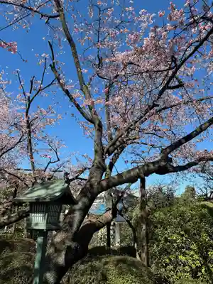 密藏院(埼玉県)