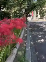 富部神社(愛知県)